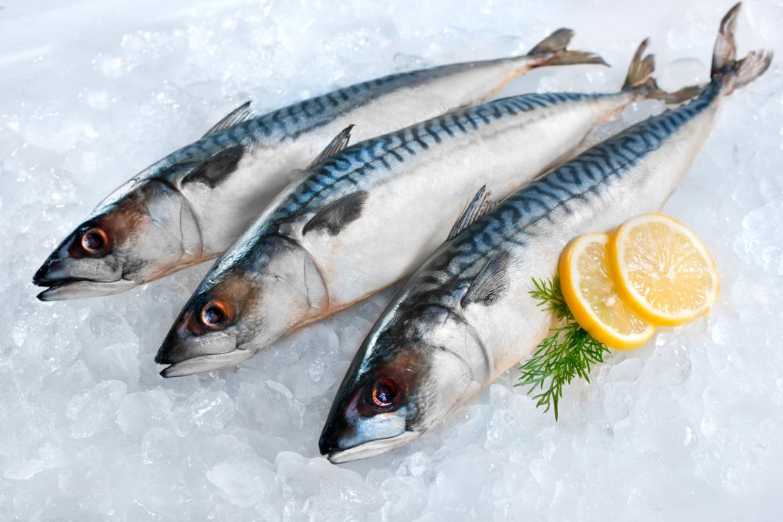 Setor de pescado inicia cancelamento de contratos. Foto: Divulgação