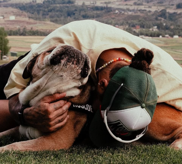 Lewis Hamilton com seu pet. Foto: Reprodução / Instagram @lewishamilton
